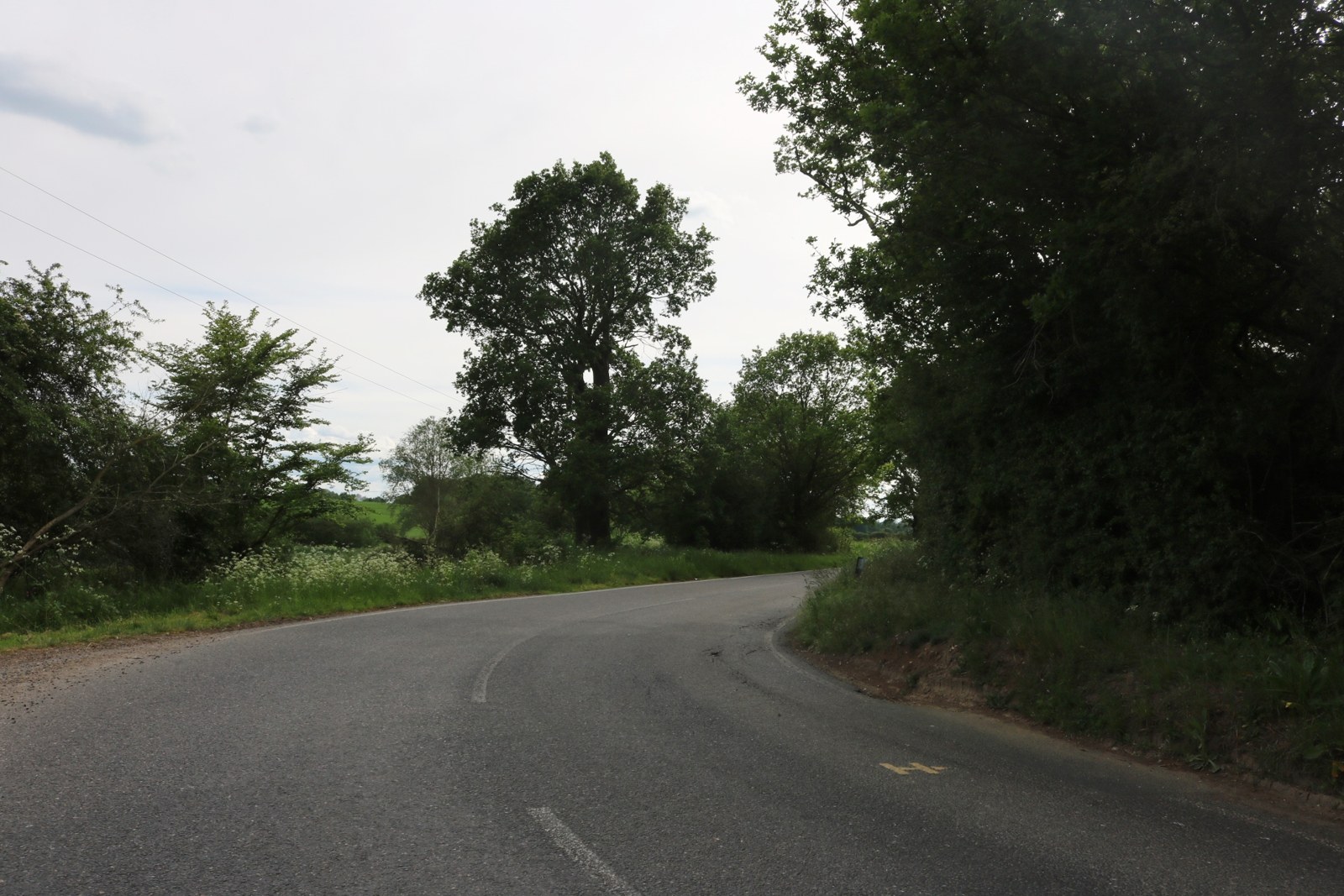 A tree-lined stretch of Blake Hall Road