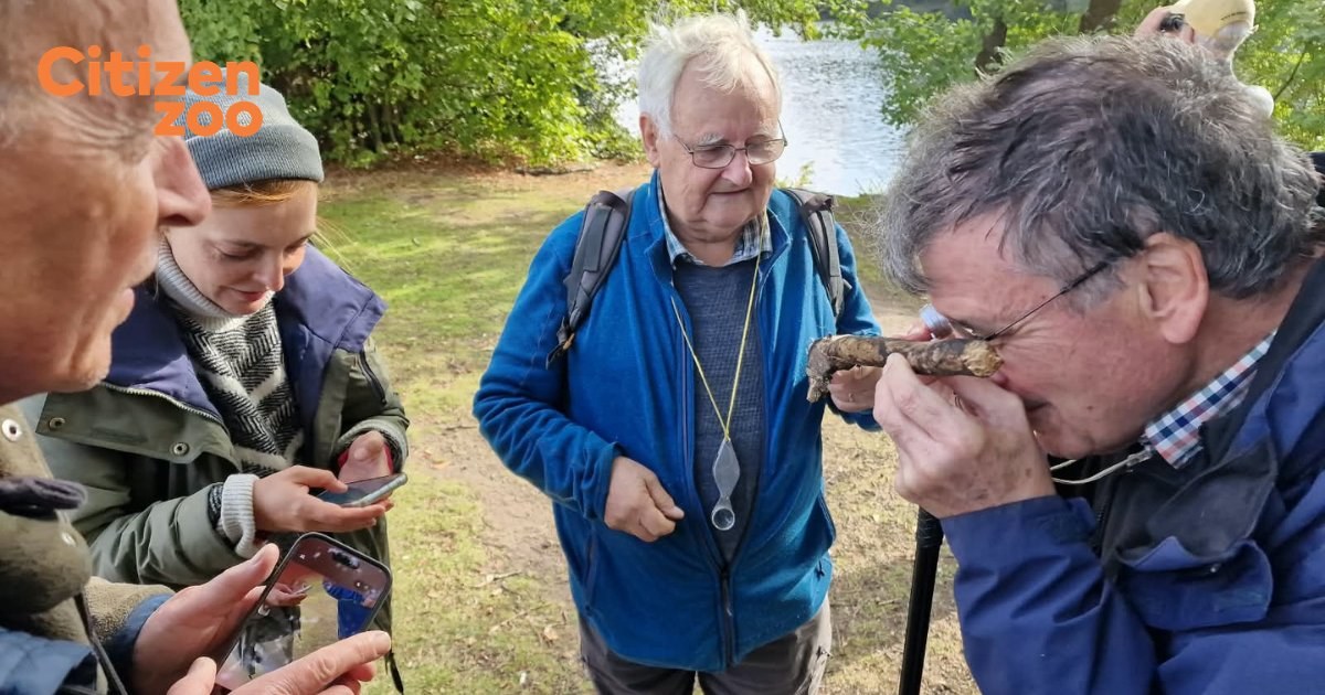Volunteers and a Conchological Society recorder inspect a piece of wood beside a lake during a mollusc survey in Wanstead Park